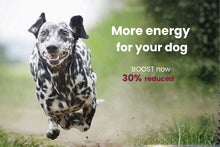 Load image into Gallery viewer, BOOST
