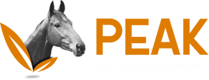 PEAK HORSE